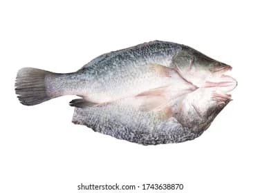 Gst Frozen Whole Sea Bass Butterfly Cut Fish