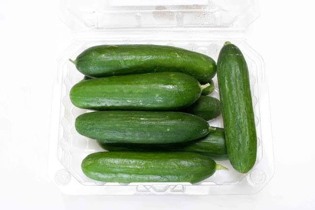 Cameron Garden Mini Light Green Snacking Cucumber