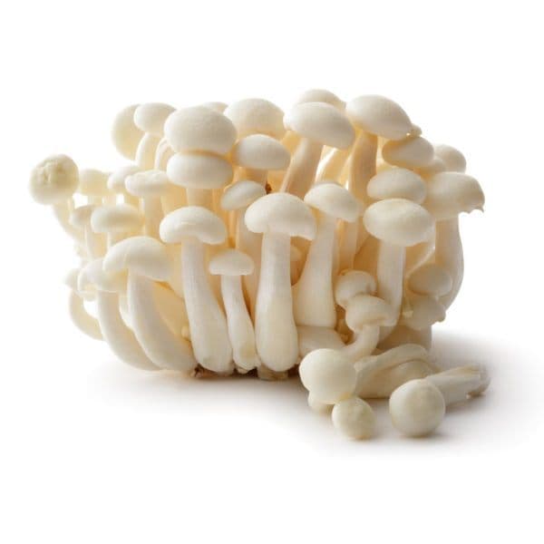 White Shimeji Mushroom (China)