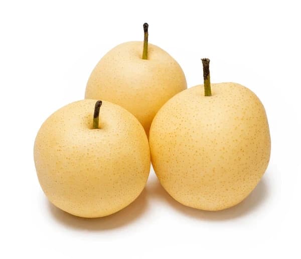 Century Pear (China)