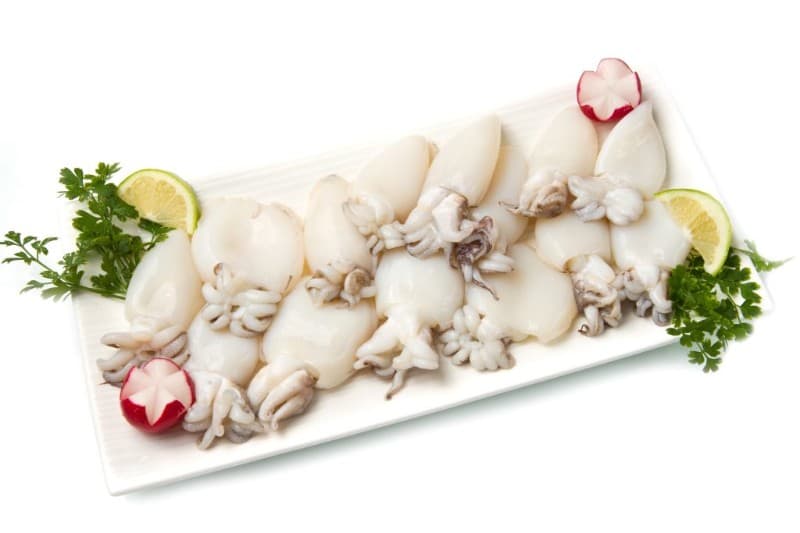 FX Cuttlefish 小墨鱼