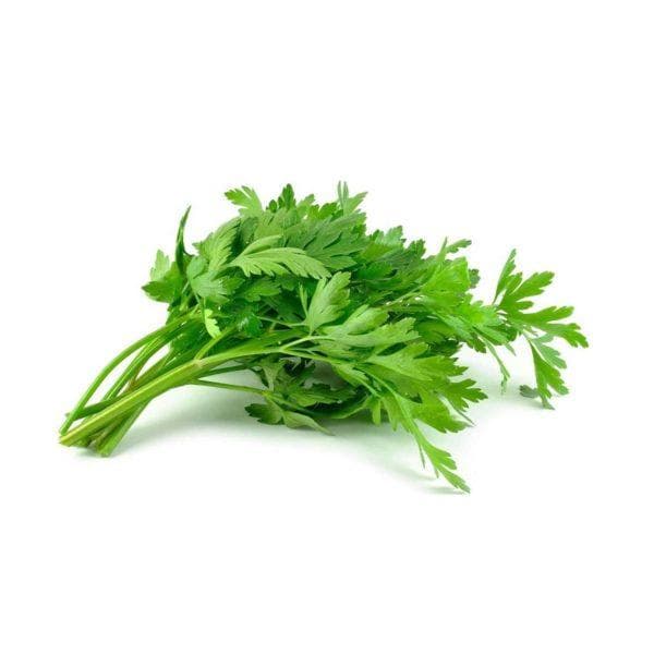 Cameron Garden Italian Parsley Herb (Malaysia)