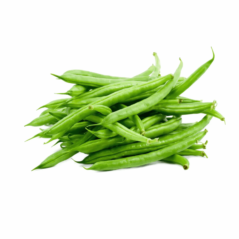 FX French Bean 四季豆