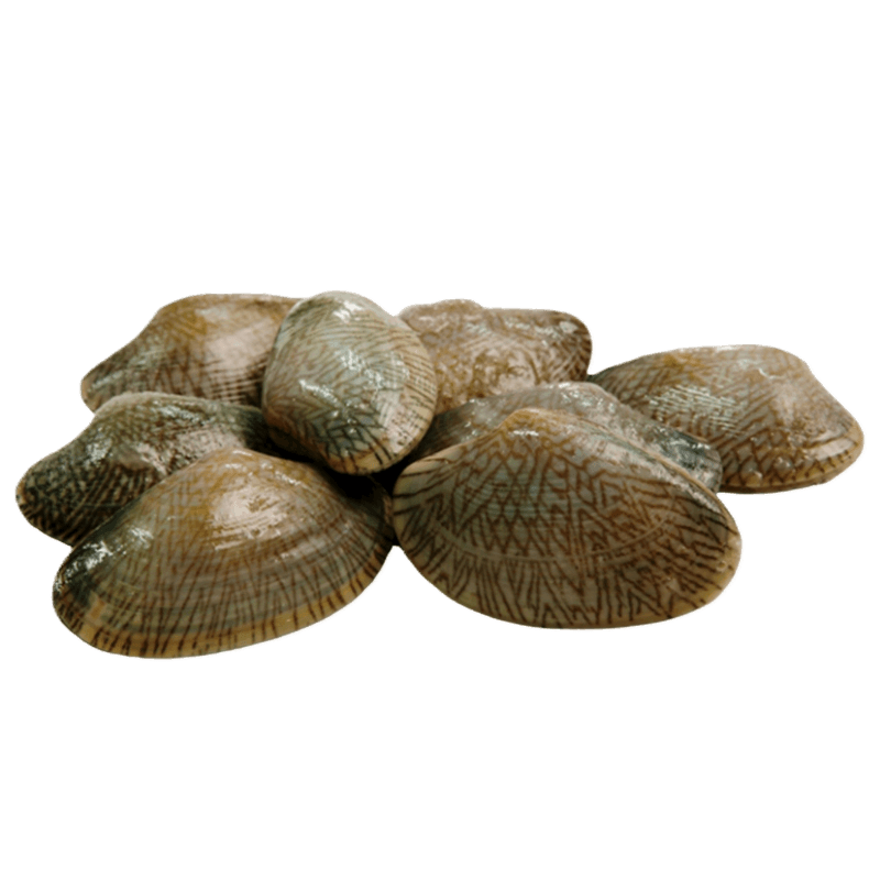 FX Fresh Lala 啦啦