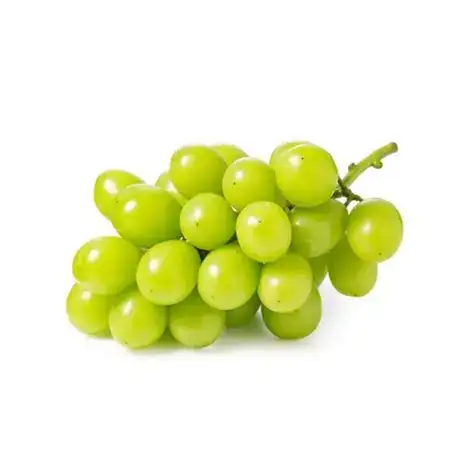 Shine Muscat Grapes 注意!!
