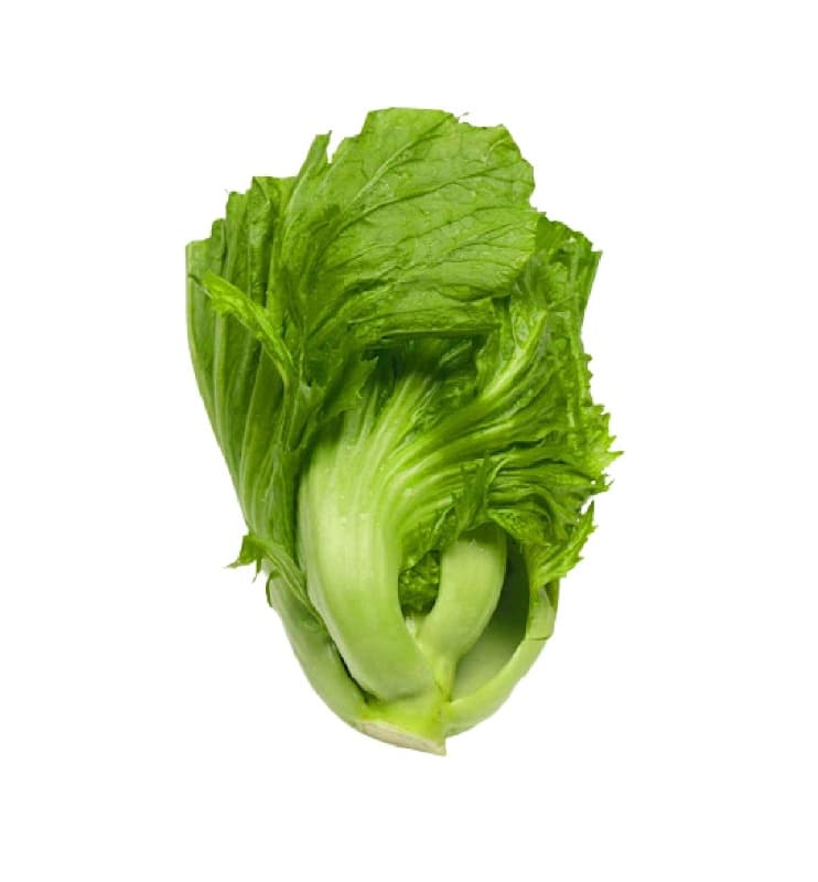 Mustard Green (Kai Choy)