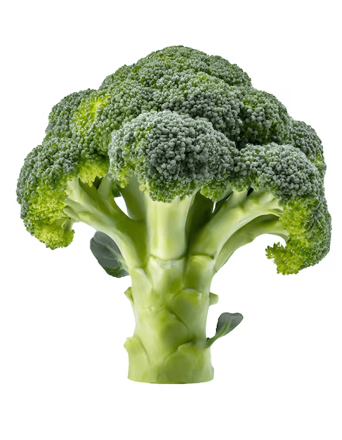 Broccoli 1unit