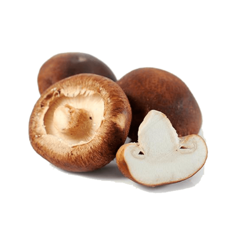 FX Mushroom Shitake 香菇