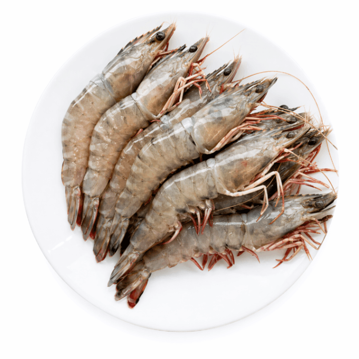 FX Flower Prawn 花虾