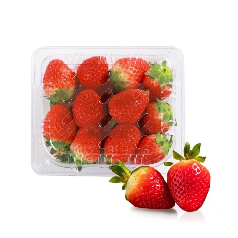 Premium Korean Strawberry