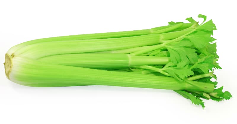 Celery 芹菜