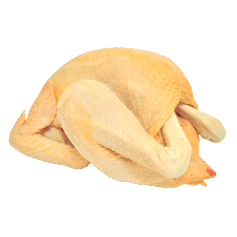 Kampung Chicken Free Range Whole