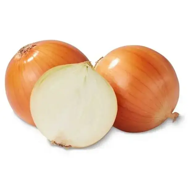 First Pick Gold Cream Onion (Australia)