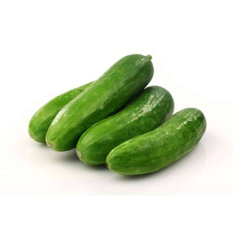 Cameron Garden Romilino Cucumber