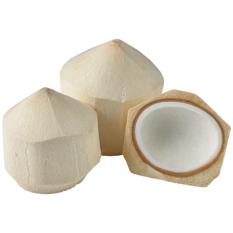 Fresh Aromatic Coconut