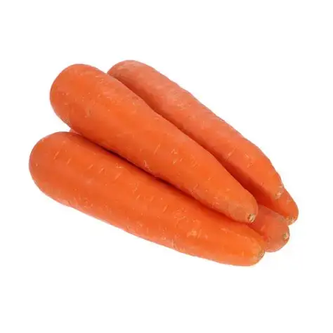 China Carrot