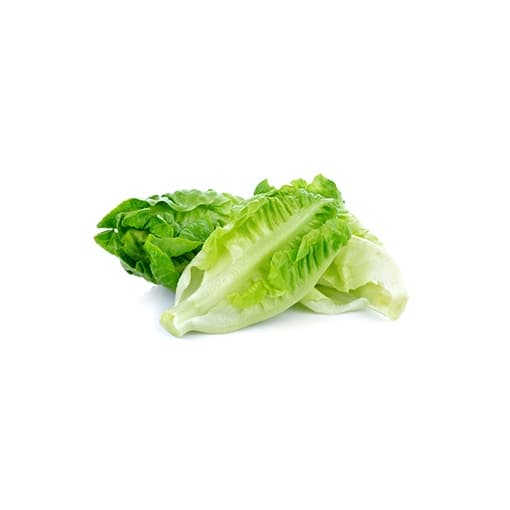 Cameron Garden Lettuce Baby Romaine (Malaysia)