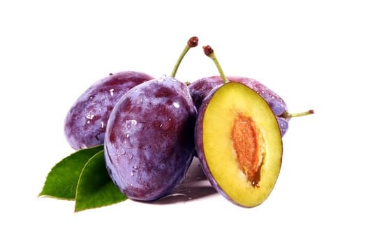 Plum Sugar Australia