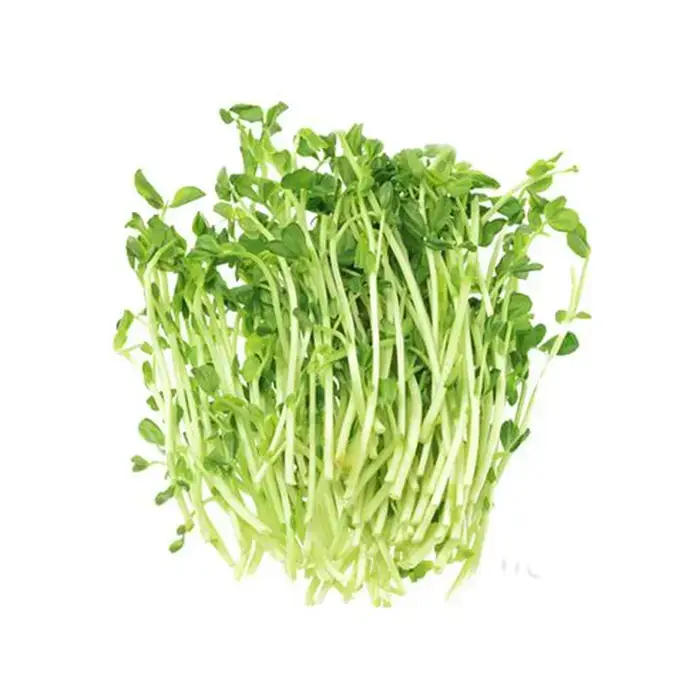 Peas Sprout (Malaysia) 200g