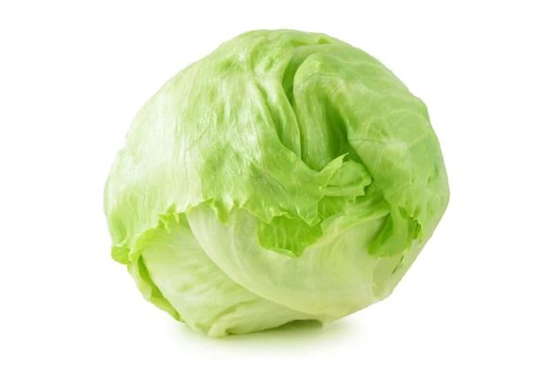 Iceberg Lettuce