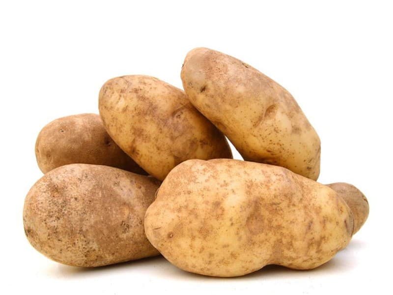 Idaho Russet Potato