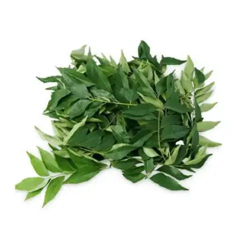 Curry Leaves (Daun Kari) (Malaysia)