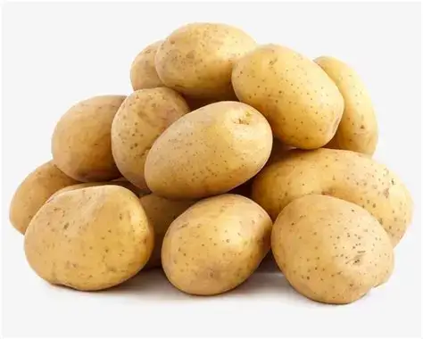Premium Holland Potato