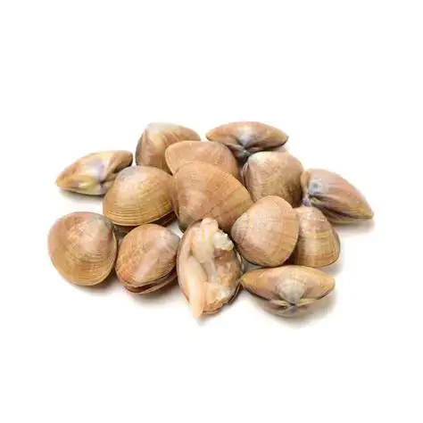 FX Asari Clams 花甲