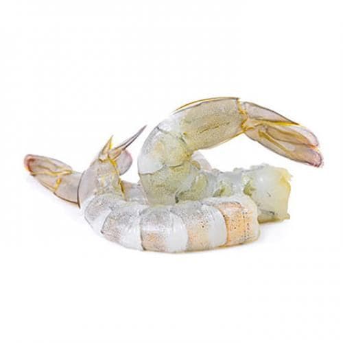 Frozen Prawn Meat