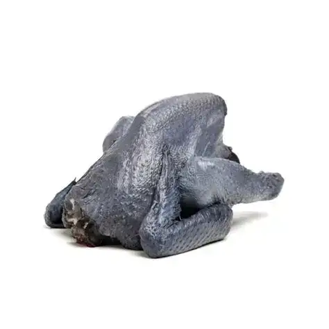 Black chicken