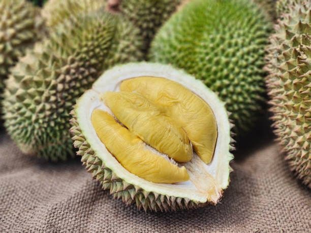 Durian - Musang King