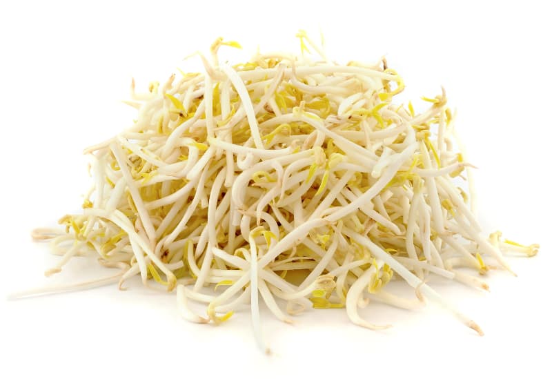 FX Bean Sprout 豆芽