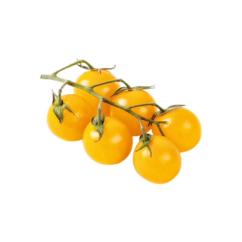 Sunny Gold Cherry Tomato