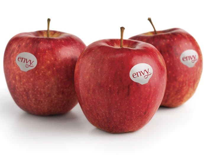 Envy Envy Apple