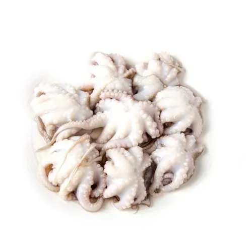 Frozen Whole Baby Octopus