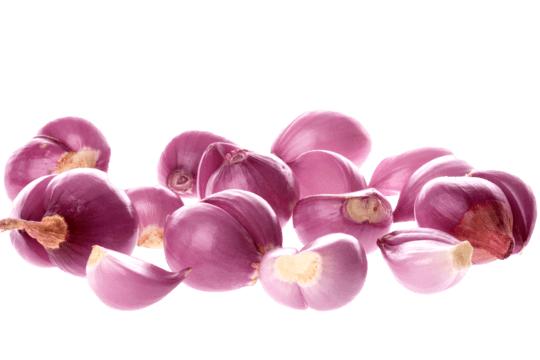 Peeled Shallot