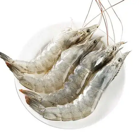 Gst White Prawn
