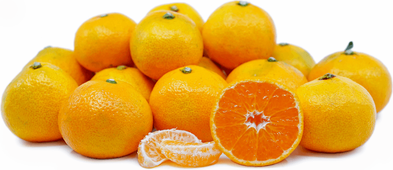 Jeju Mandarin (Korea) 800g