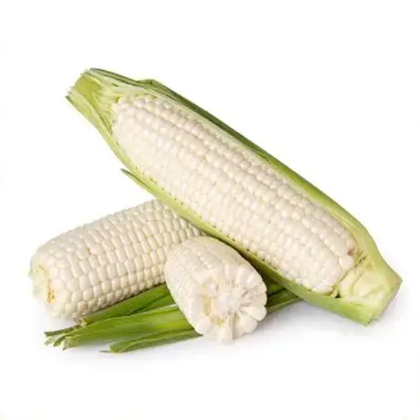 Cameron Bio Color Sweet Corn (Malaysia)
