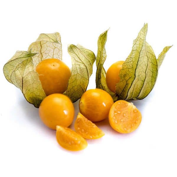 Physalis Gooseberry (Columbia)