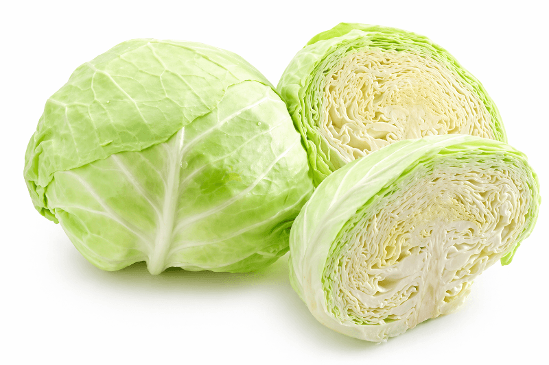 FX Cabbage 金马伦包菜