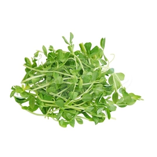 Cameron Garden Pea Sprout (Malaysia)