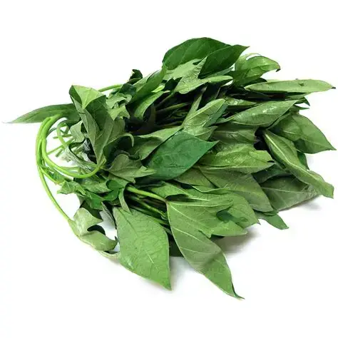 Sweet Potato Leaves
