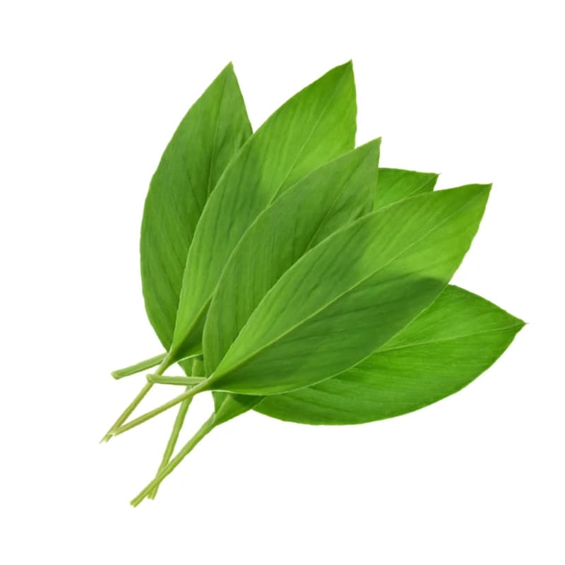 Turmeric Leaves (Daun Kunyit)