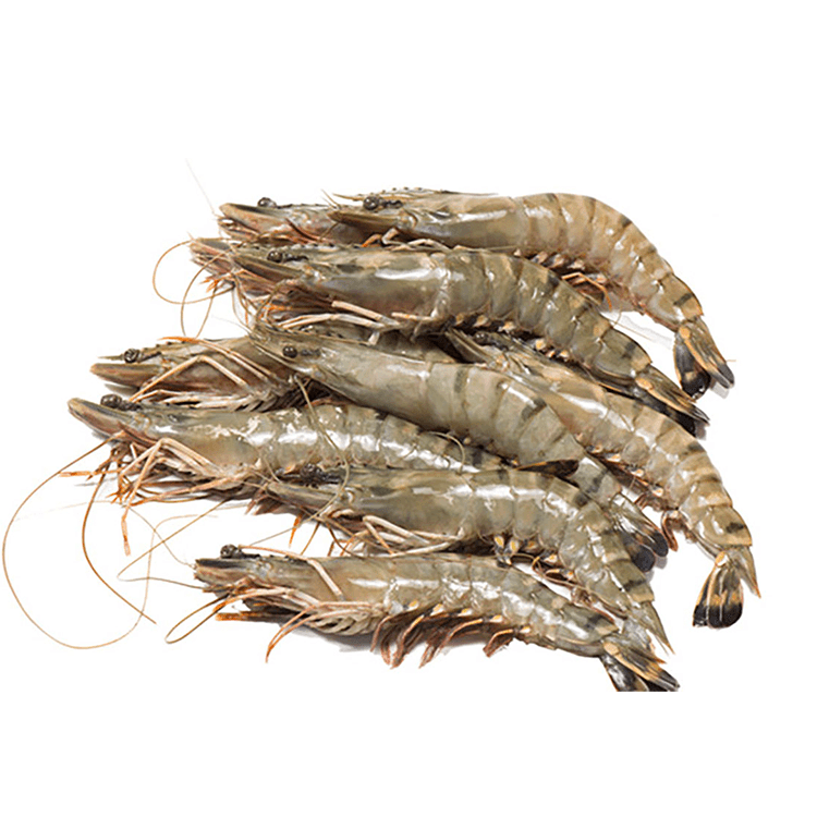 Gst Frozen Prawn Tiger