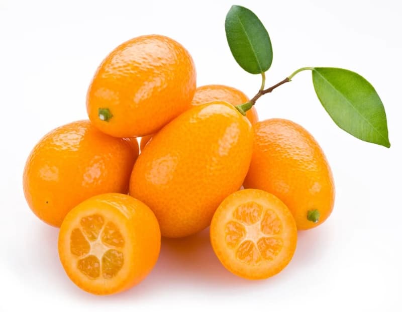 Kumquat Tangerine (China)