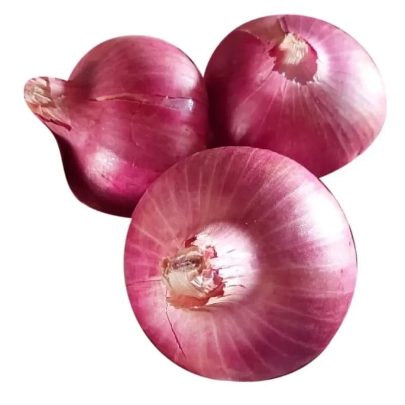 Red Onion